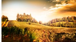 private-jet-Lokoya-Howell-Mountain