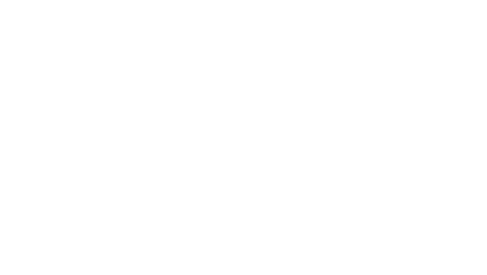 Borsheims